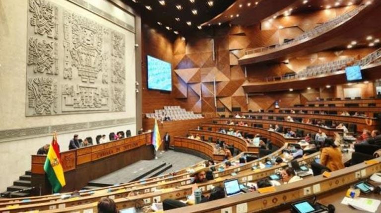 Cámara de Diputados aprueba en grande y en detalle el crédito de $us 100 millones de Japón